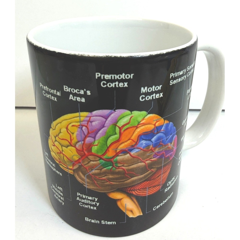 Brain Anatomy Coffee Mug Black White Neuroscience Cortex Medical Cup